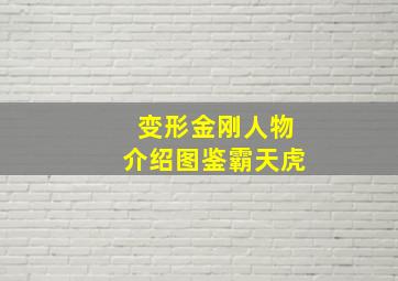 变形金刚人物介绍图鉴霸天虎