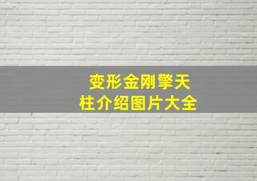 变形金刚擎天柱介绍图片大全