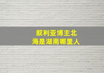 叙利亚博主北海是湖南哪里人