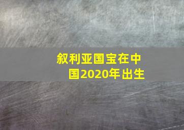 叙利亚国宝在中国2020年出生