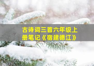 古诗词三首六年级上册笔记《宿建德江》