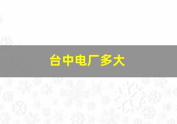 台中电厂多大