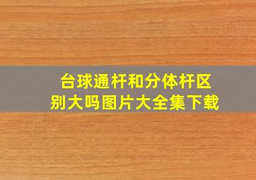 台球通杆和分体杆区别大吗图片大全集下载