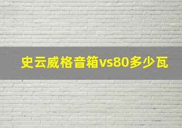 史云威格音箱vs80多少瓦