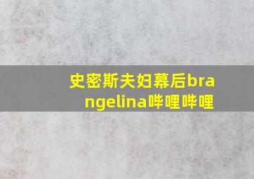 史密斯夫妇幕后brangelina哔哩哔哩