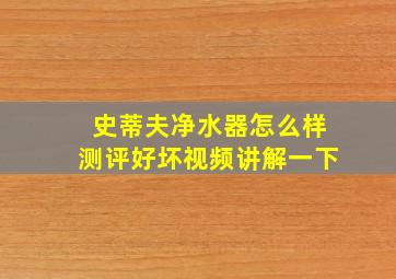 史蒂夫净水器怎么样测评好坏视频讲解一下