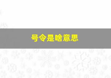 号令是啥意思