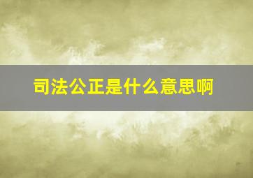 司法公正是什么意思啊