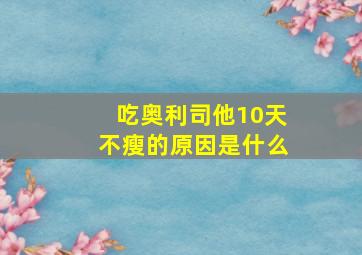 吃奥利司他10天不瘦的原因是什么