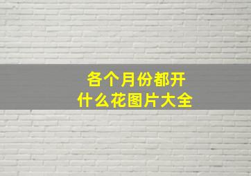 各个月份都开什么花图片大全