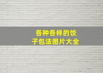 各种各样的饺子包法图片大全