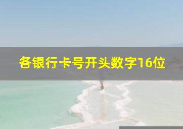 各银行卡号开头数字16位