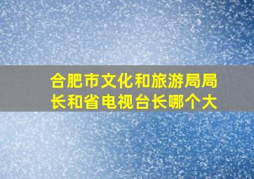 合肥市文化和旅游局局长和省电视台长哪个大