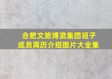 合肥文旅博览集团班子成员简历介绍图片大全集