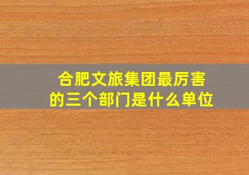 合肥文旅集团最厉害的三个部门是什么单位