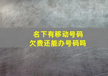 名下有移动号码欠费还能办号码吗