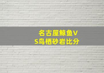 名古屋鲸鱼VS鸟栖砂岩比分