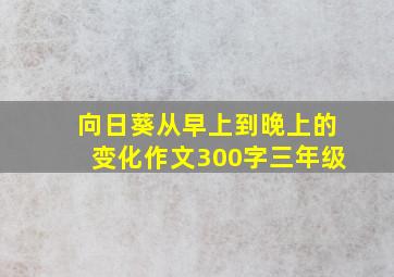 向日葵从早上到晚上的变化作文300字三年级