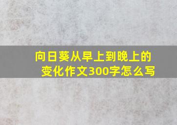 向日葵从早上到晚上的变化作文300字怎么写