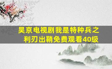 吴京电视剧我是特种兵之利刃出鞘免费观看40级