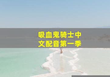 吸血鬼骑士中文配音第一季