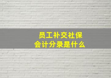 员工补交社保会计分录是什么