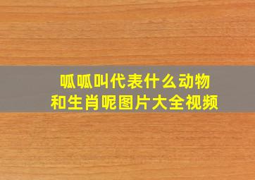 呱呱叫代表什么动物和生肖呢图片大全视频