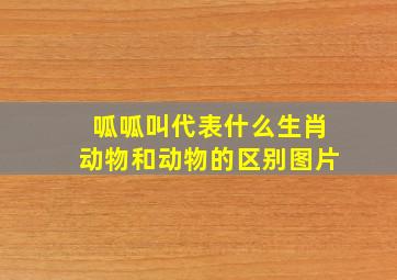 呱呱叫代表什么生肖动物和动物的区别图片