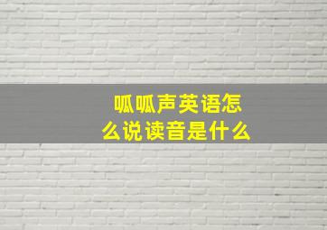 呱呱声英语怎么说读音是什么