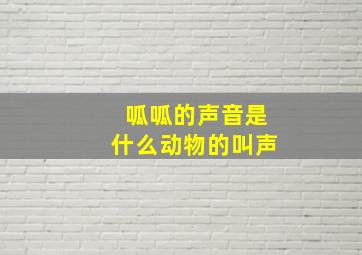 呱呱的声音是什么动物的叫声