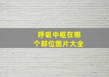 呼吸中枢在哪个部位图片大全