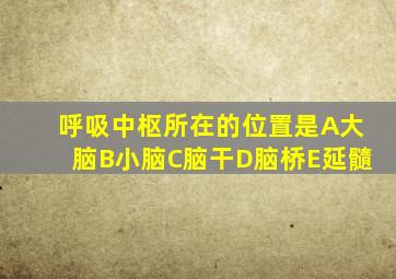 呼吸中枢所在的位置是A大脑B小脑C脑干D脑桥E延髓