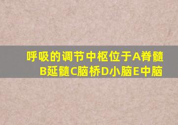 呼吸的调节中枢位于A脊髓B延髓C脑桥D小脑E中脑