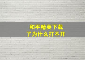 和平精英下载了为什么打不开