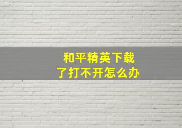 和平精英下载了打不开怎么办