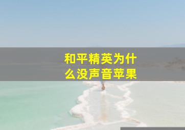 和平精英为什么没声音苹果