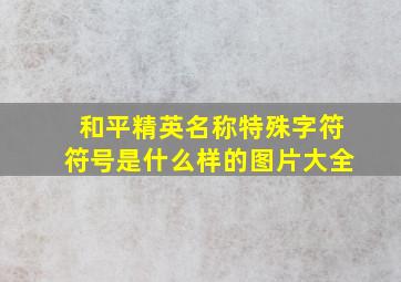 和平精英名称特殊字符符号是什么样的图片大全