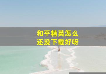 和平精英怎么还没下载好呀