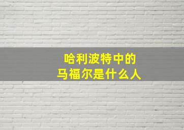 哈利波特中的马福尔是什么人