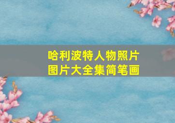 哈利波特人物照片图片大全集简笔画