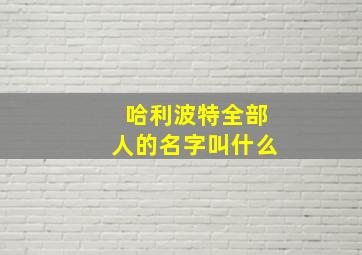 哈利波特全部人的名字叫什么