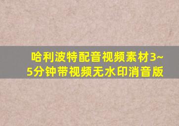 哈利波特配音视频素材3~5分钟带视频无水印消音版