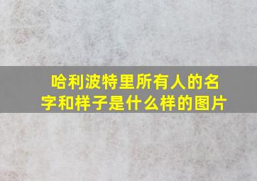 哈利波特里所有人的名字和样子是什么样的图片