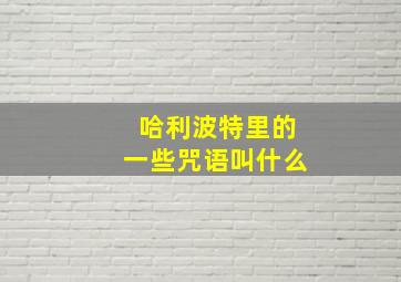 哈利波特里的一些咒语叫什么