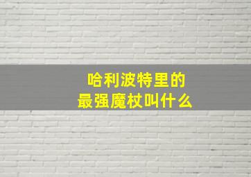 哈利波特里的最强魔杖叫什么