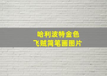 哈利波特金色飞贼简笔画图片