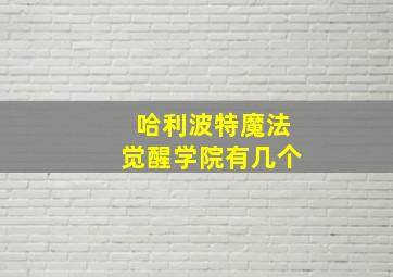 哈利波特魔法觉醒学院有几个