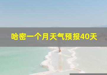 哈密一个月天气预报40天