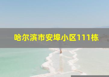 哈尔滨市安埠小区111栋