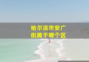 哈尔滨市安广街属于哪个区